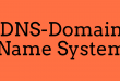 DNS-domain name system