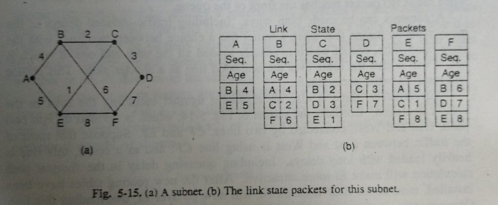 link state packet for this subnet