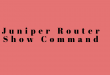 Juniper Router Show Command