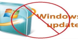 Windows Update Speed Limit In MikroTik Router